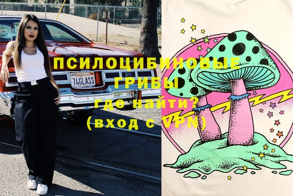 соль курить ск Гусь-Хрустальный