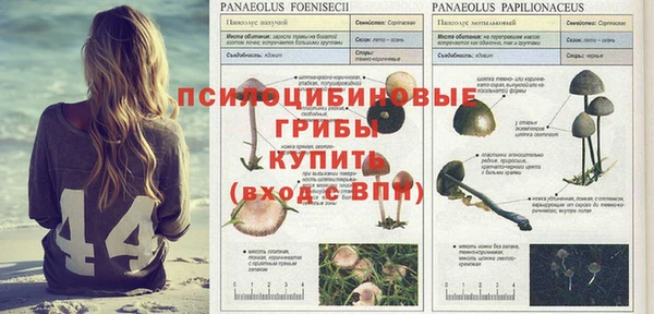 бутик Гусев